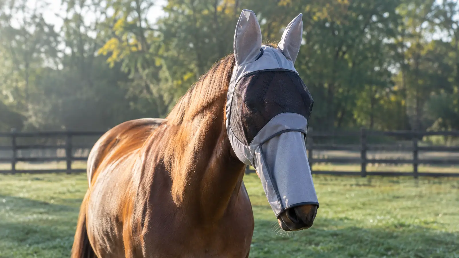 How to Keep Flies Off Your Horse's Face With a Fly Mask
