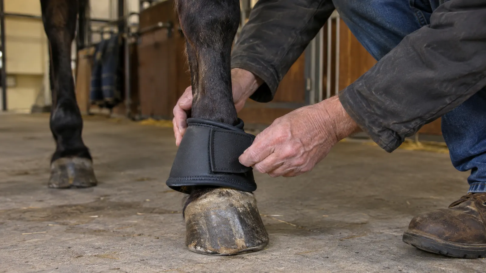 A rider's hands fitting a bell boot over a horse's hoof before a ride