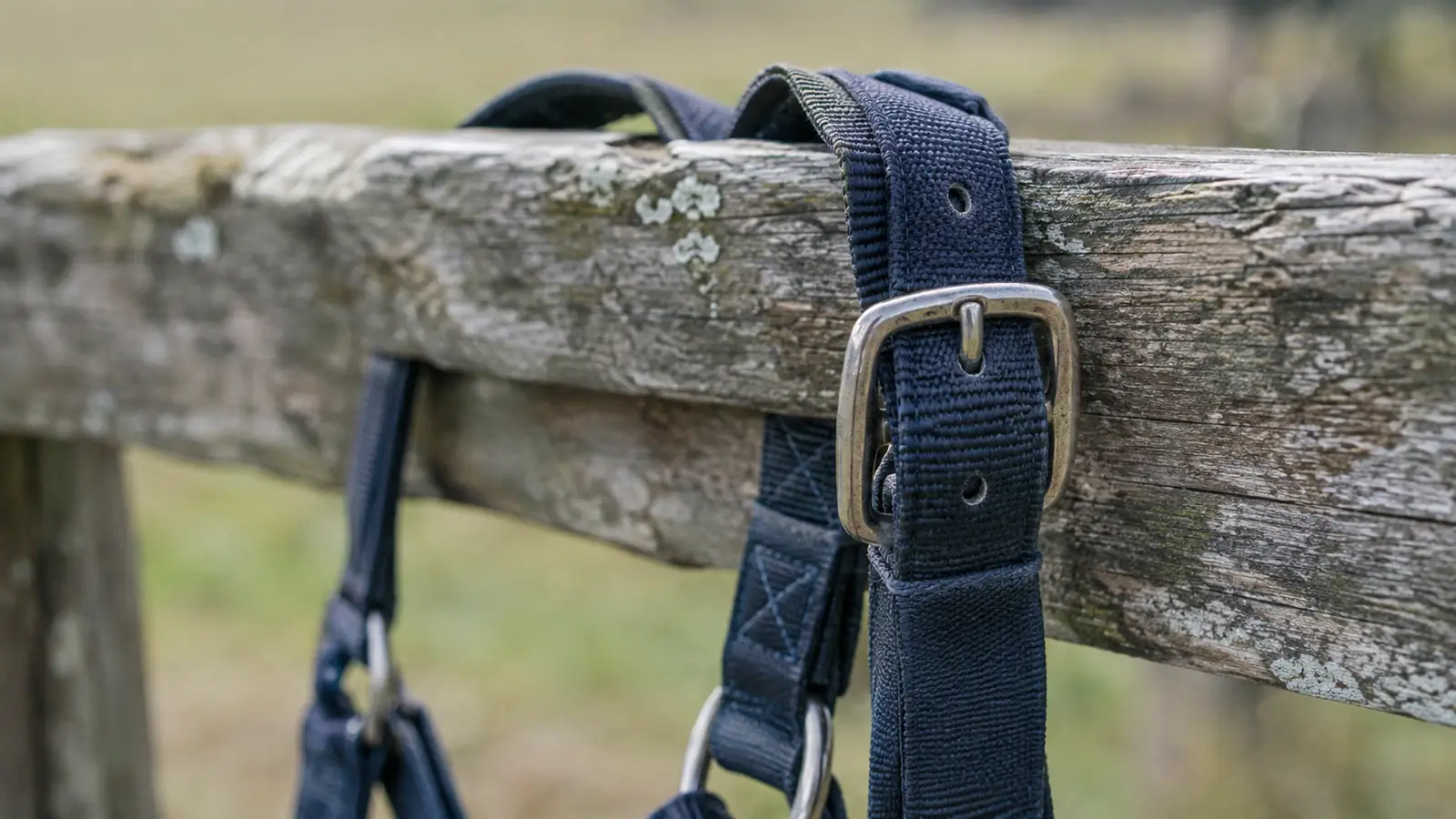 A close view of a nylon halter buckle and stitching on a fence rail